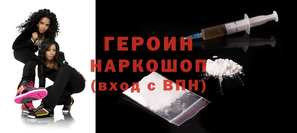 гашик Алексин