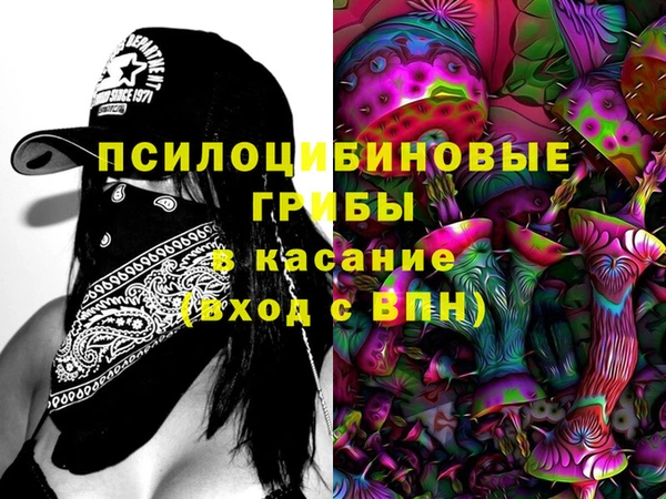 прущая мука Алзамай
