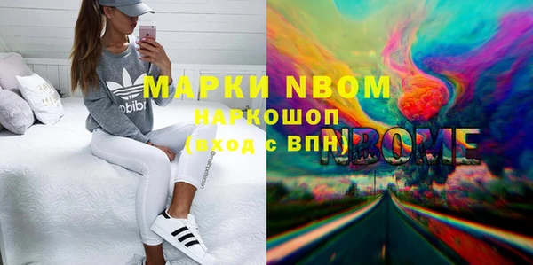 гашик Алексин