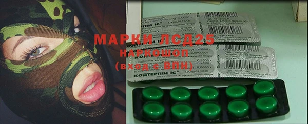 гашик Алексин
