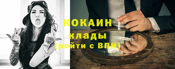 гашик Алексин